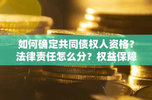 武汉如何确定共同债权人资格？法律责任怎么分？权益保障技巧揭秘！