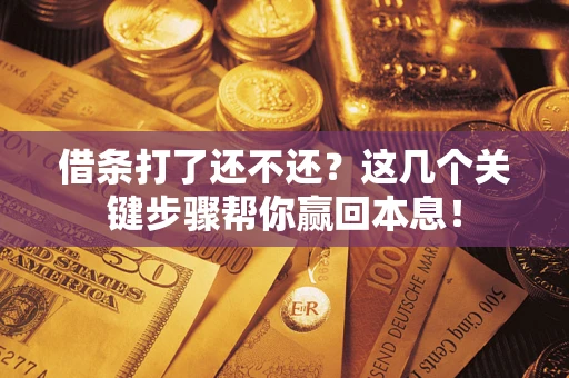 武汉借条打了还不还？这几个关键步骤帮你赢回本息！