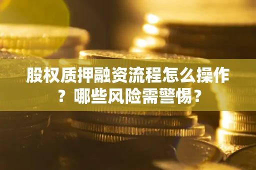 武汉股权质押融资流程怎么操作？哪些风险需警惕？