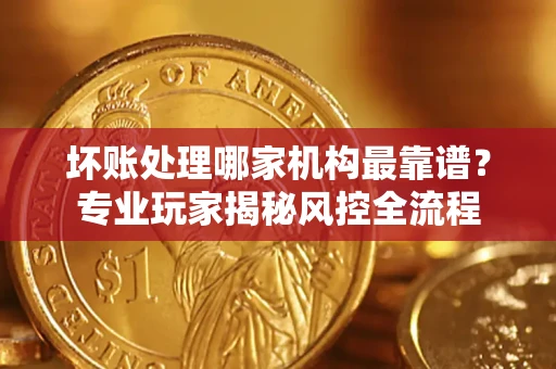 武汉坏账处理哪家机构最靠谱？专业玩家揭秘风控全流程