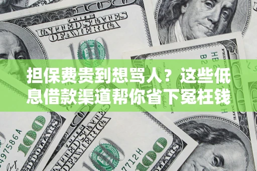 武汉担保费贵到想骂人？这些低息借款渠道帮你省下冤枉钱