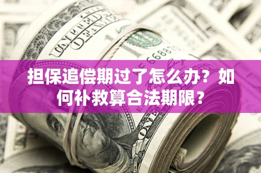 武汉担保追偿期过了怎么办？如何补救算合法期限？