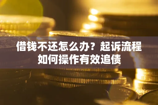 武汉借钱不还怎么办？起诉流程如何操作有效追债