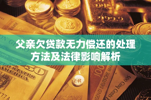 武汉父亲欠贷款无力偿还的处理方法及法律影响解析