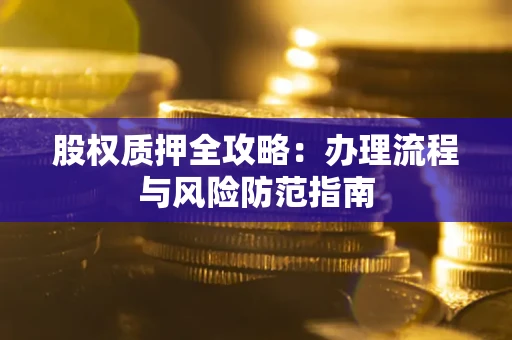 武汉股权质押全攻略：办理流程与风险防范指南