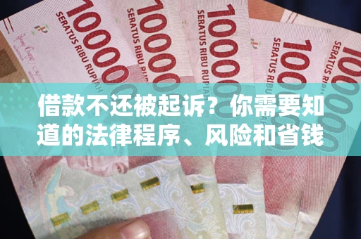 武汉借款不还被起诉？你需要知道的法律程序、风险和省钱技巧