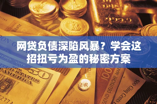 武汉网贷负债深陷风暴？学会这招扭亏为盈的秘密方案